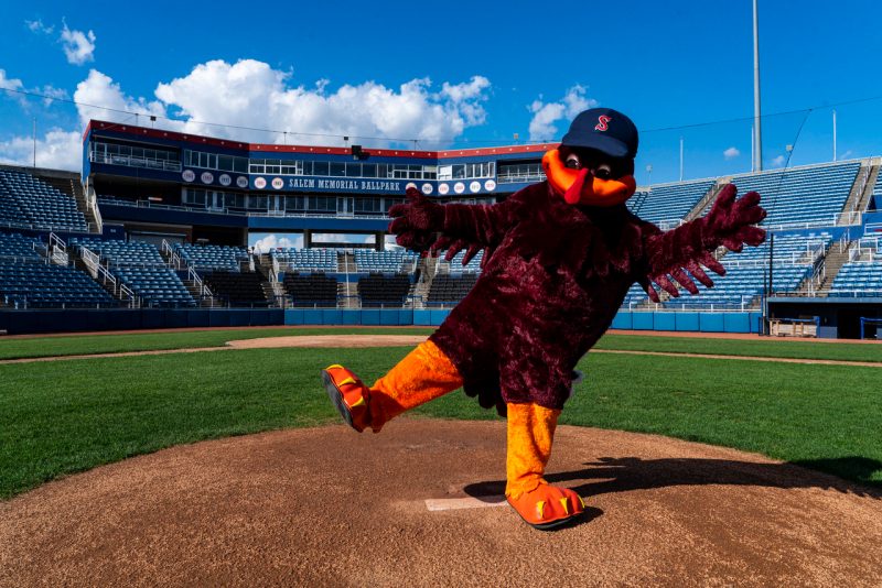 HokieBird on baseball field