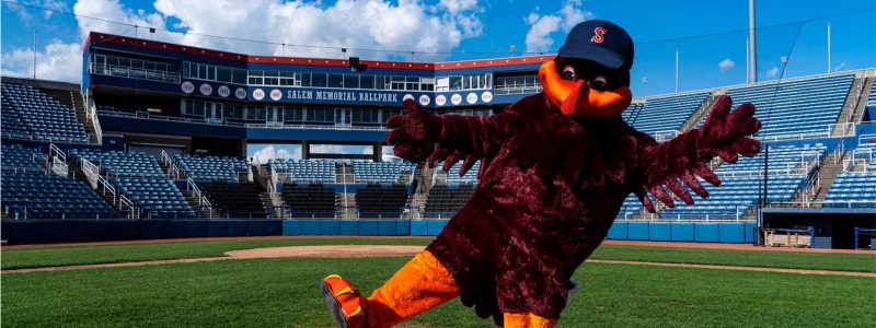 The HokieBird at the Salem Red Soxs