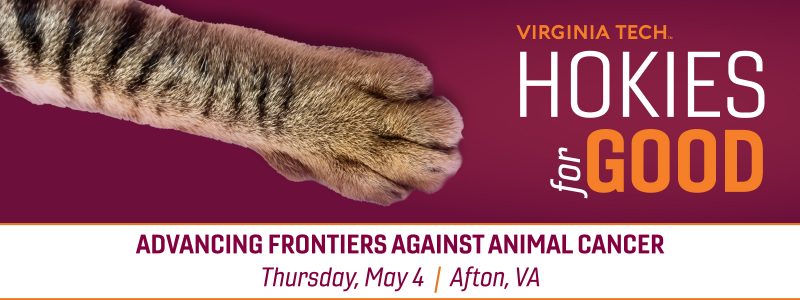 Hokies for Good: Advancing Frontiers Against Animal Cancer