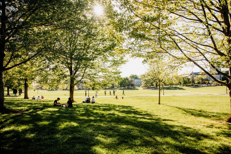 People gather at the Duck Pond on a summer day