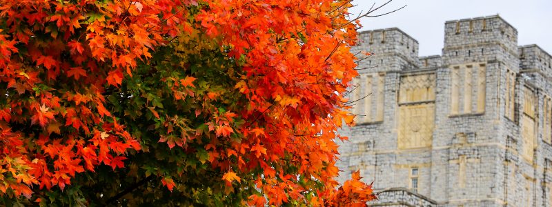 Campus in the fall