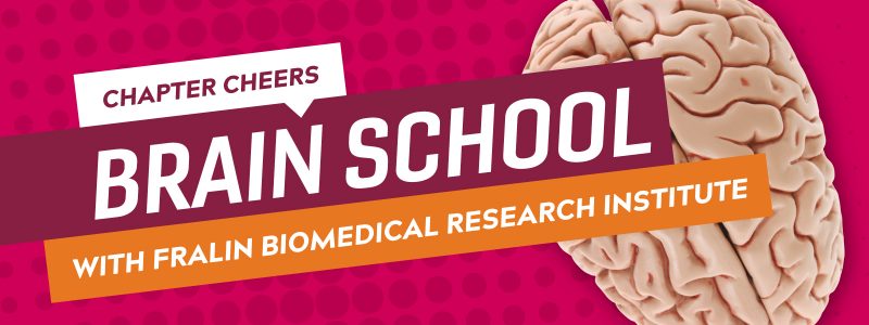 Brain school