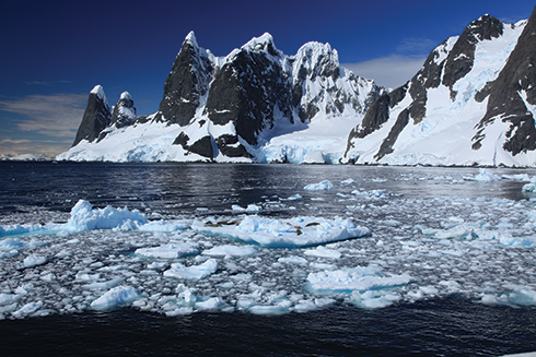 Expedition to Antarctica