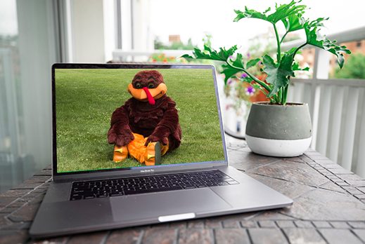 The HokieBird  on a laptop screen