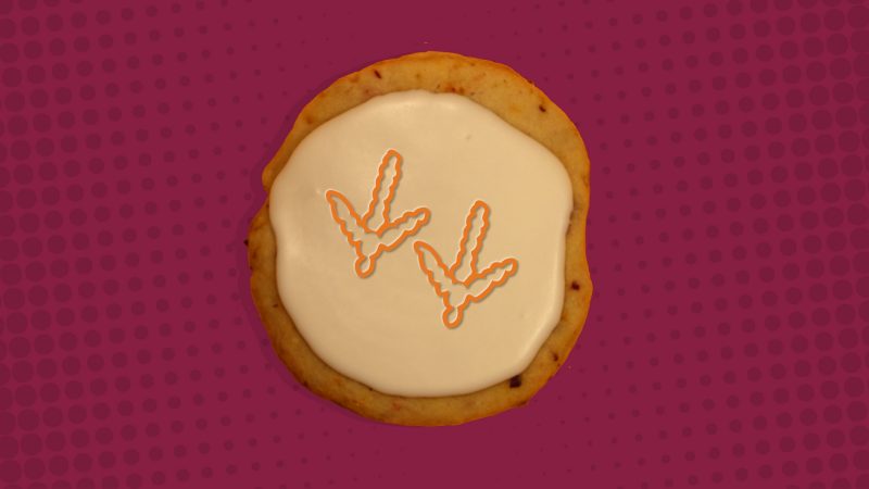 A cranberry and orange shortbread cookie