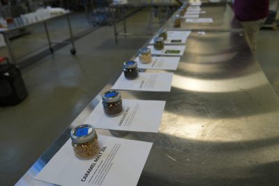 HABB1 Brewery tour