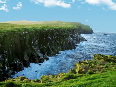 A coast in Iceland