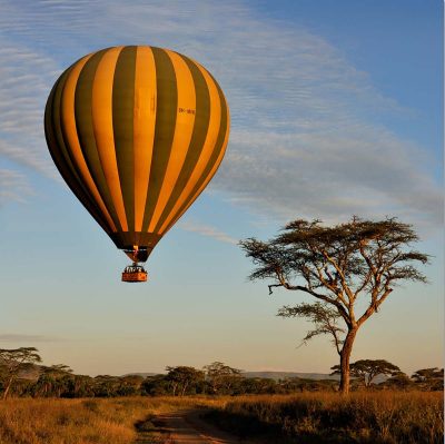 Nikoai Zinoviev, Tanzania