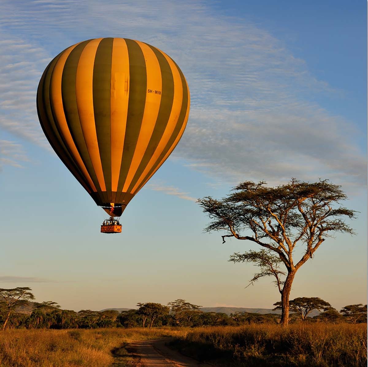 Nikoai Zinoviev, Tanzania