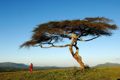 Ngoro Maasai